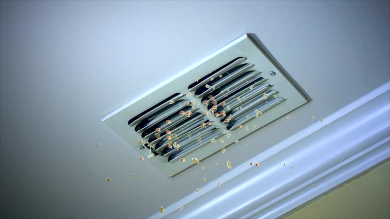 Best Dryer Vent Cleaning Services  in China, TX