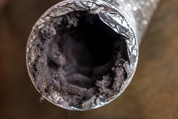 Best Affordable HVAC Duct Cleaning  in China, TX